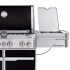 SUMMIT® E-670 GBS