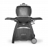 WEBER® Q 3200 PLYNOVÝ GRIL