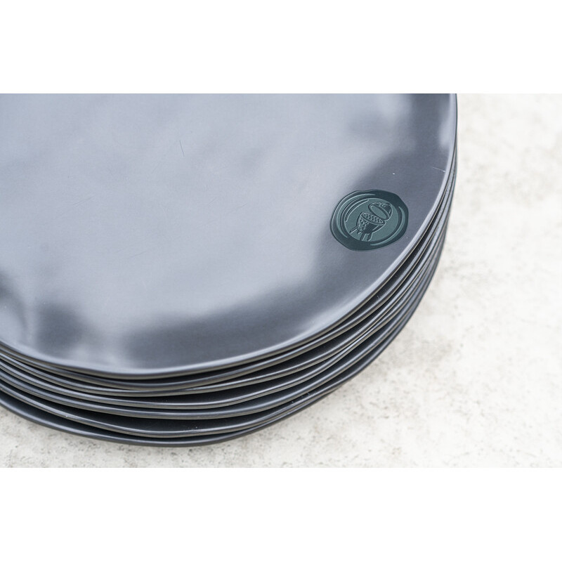 Tanier servírovací veľký