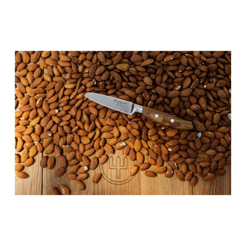 Nôž na zeleninu AMICI 9 cm