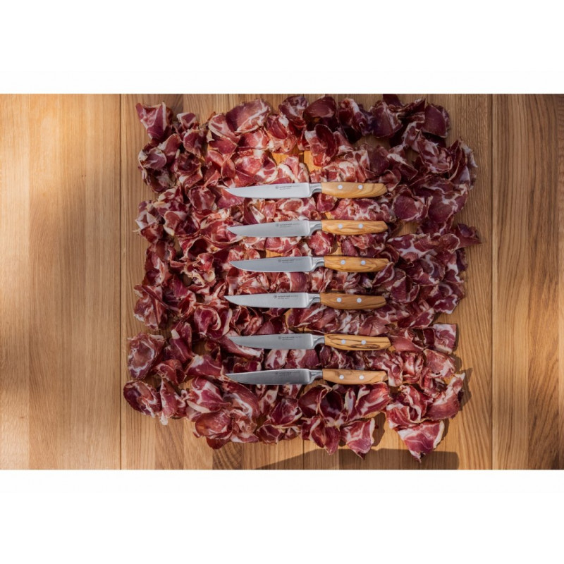 Steakový nôž AMICI 12 cm