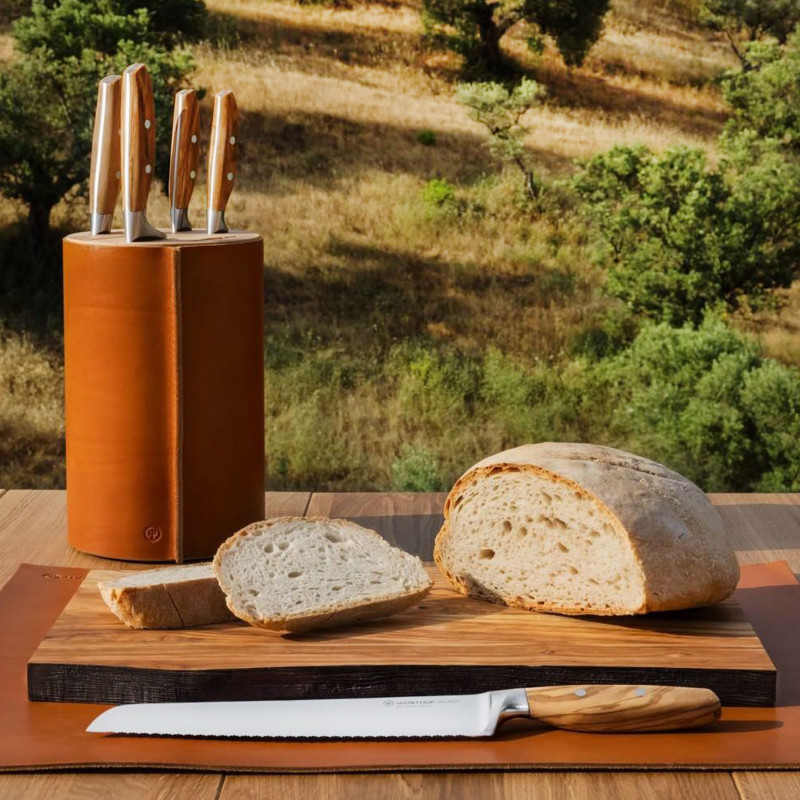 Súprava nožov AMICI 5 ks v stojane