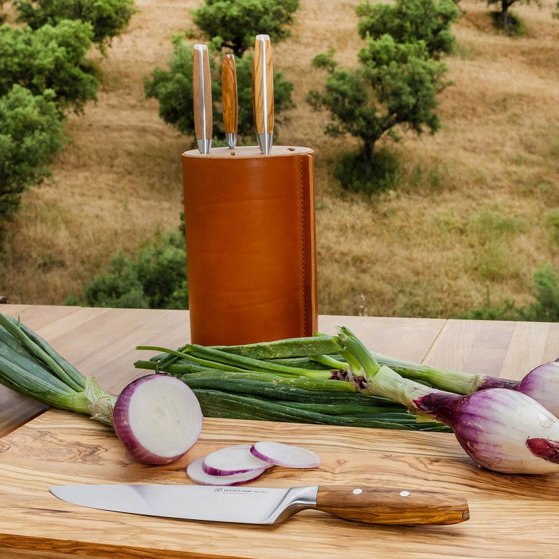 Súprava nožov AMICI 5 ks v stojane