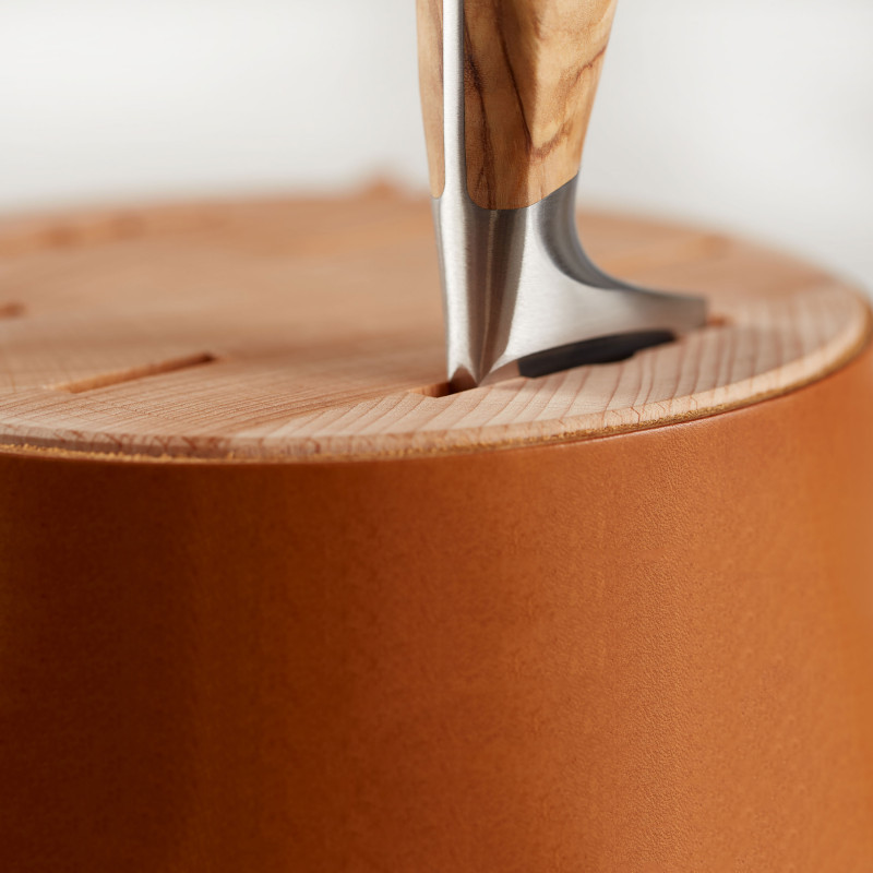 Súprava nožov AMICI 5 ks v stojane