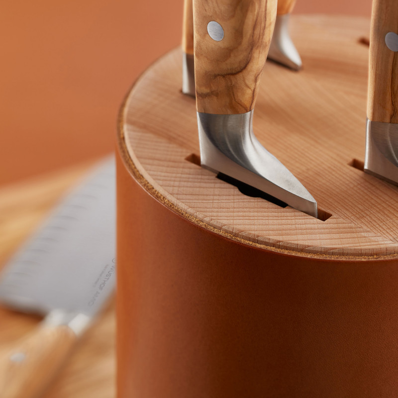 Súprava nožov AMICI 5 ks v stojane