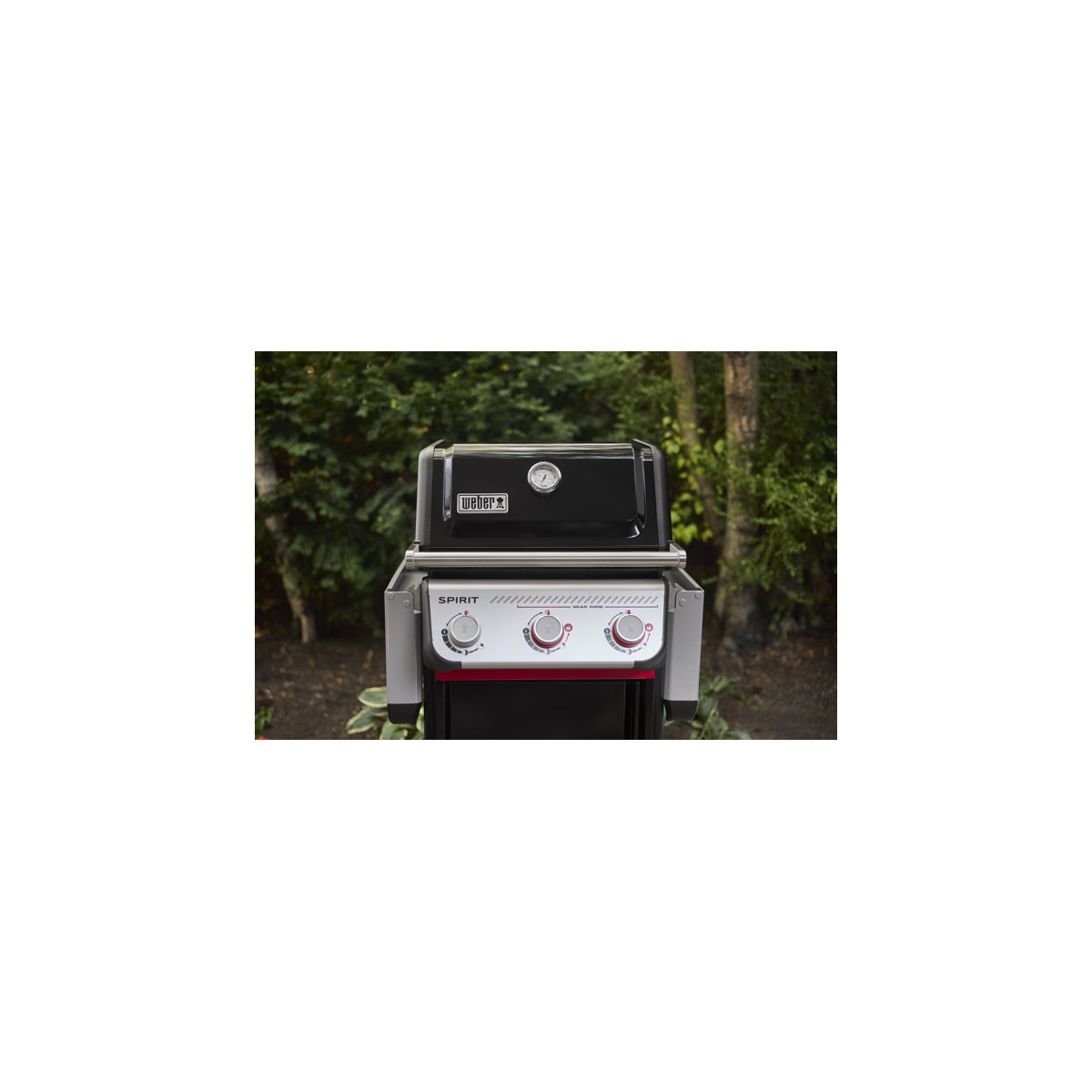 Spirit® E-325