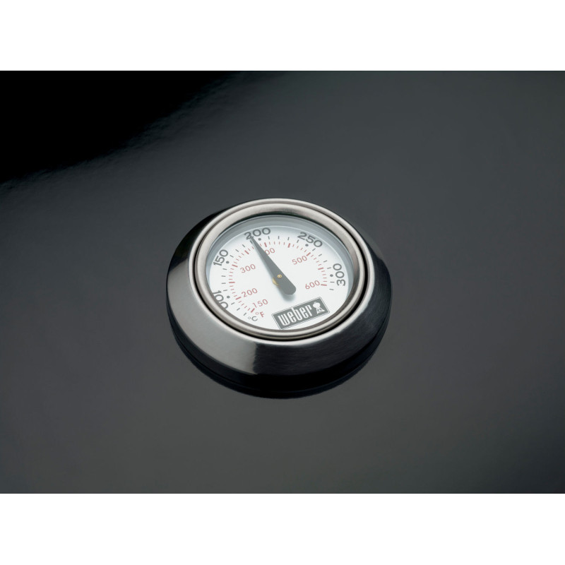 PERFORMER GBS GRIL NA DREVENÉ UHLIE