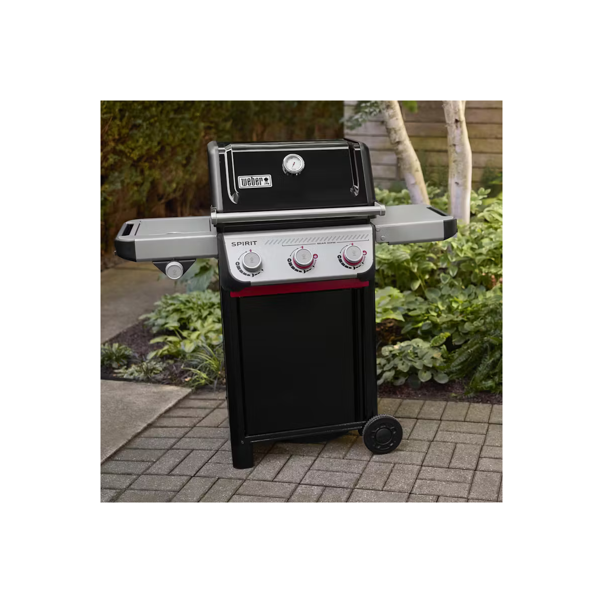 Spirit® E-335