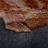 Wagyu Beef Japan Ribeye Steak Miyazaki A5 cca 100 g