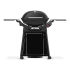 Weber Plynový gril Q 3200N+ s vozíkom Premium