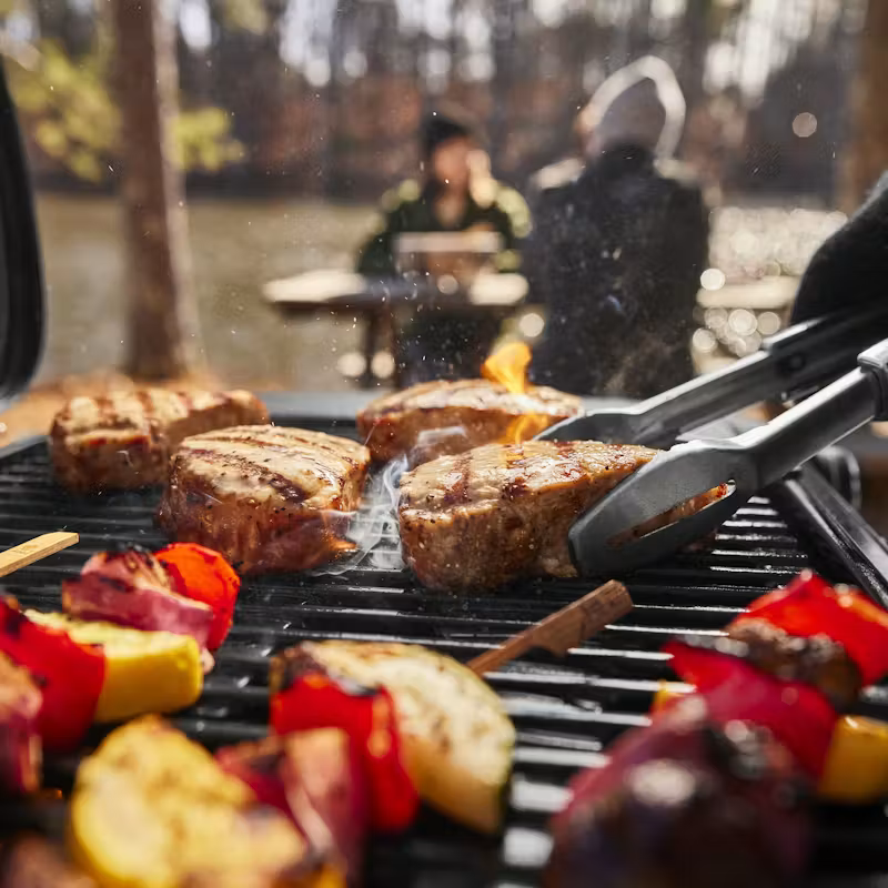 Weber Prenosný plynový gril Weber Traveler® Compact