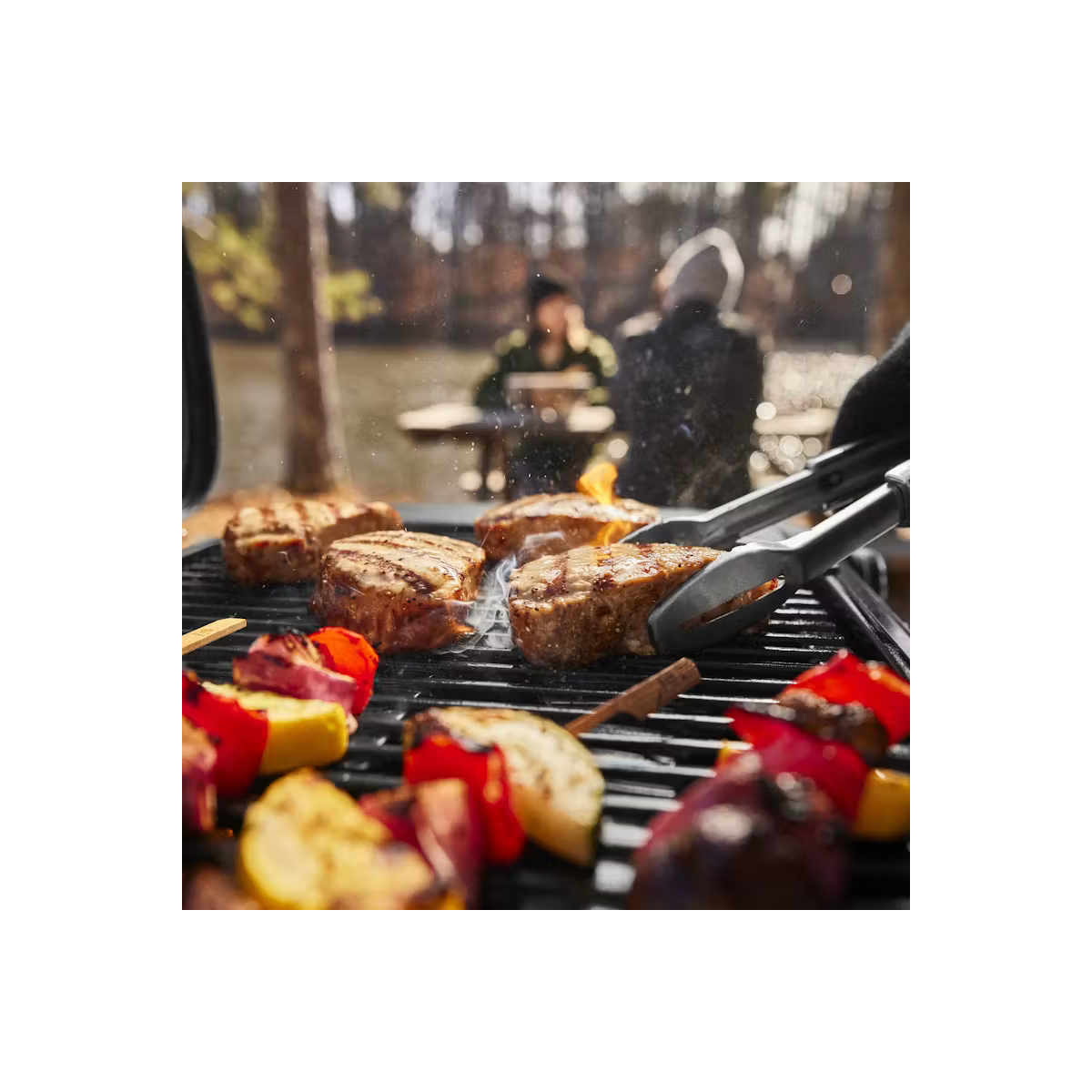 Weber Prenosný plynový gril Weber Traveler® Compact