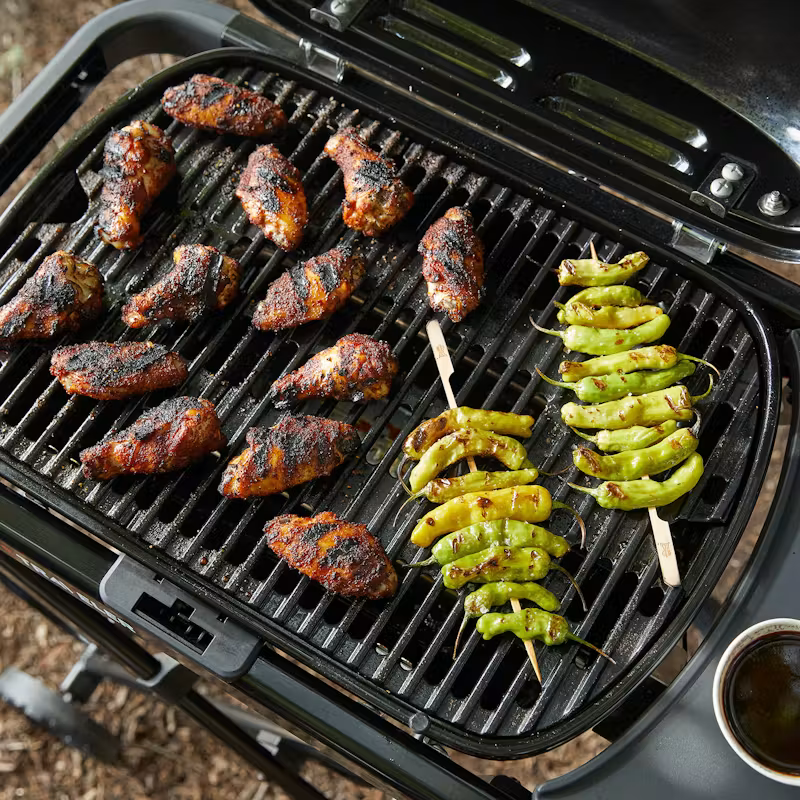 Weber Prenosný plynový gril Weber Traveler® Compact