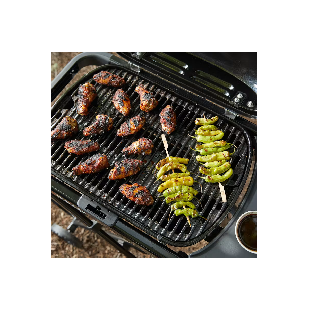 Weber Prenosný plynový gril Weber Traveler® Compact