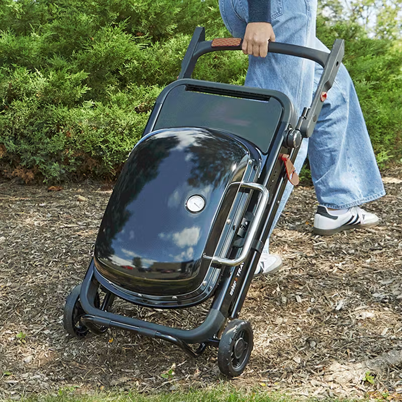 Weber Prenosný plynový gril Weber Traveler® Compact