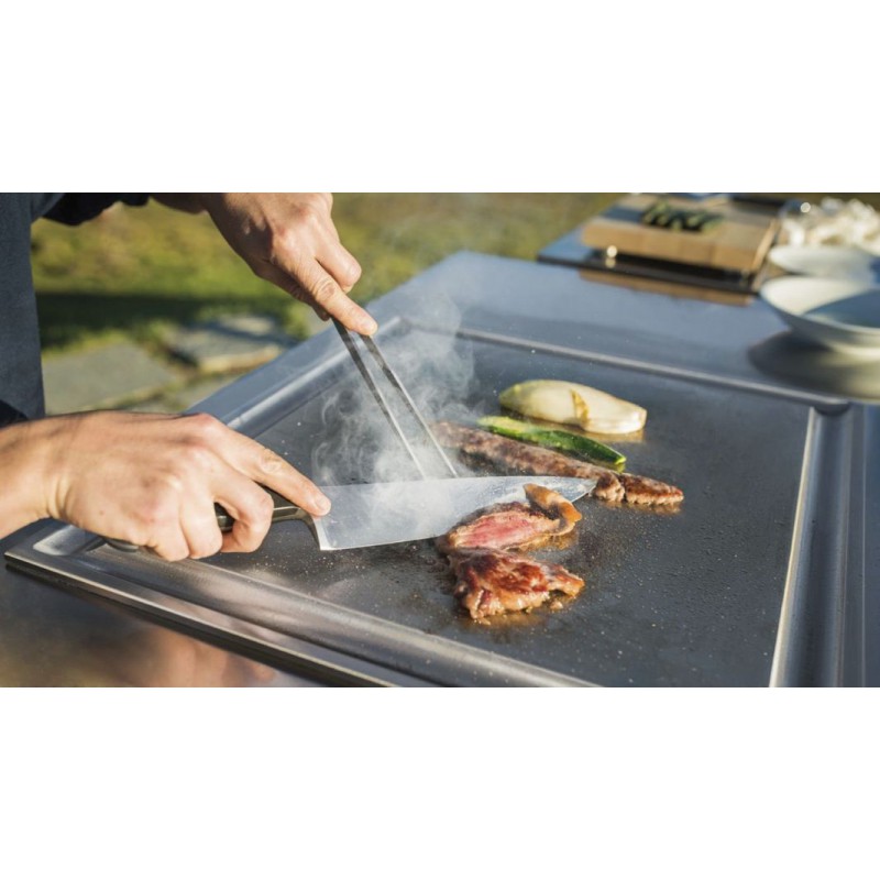 Kuchynský modul - vozík profi  - 2x Varná doska - Odsávač 668111