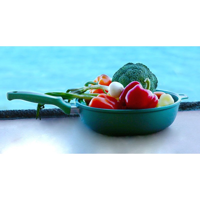 PANVICA HLBOKÁ 28 CM INDUKČNÁ RISOLI DR.GREEN